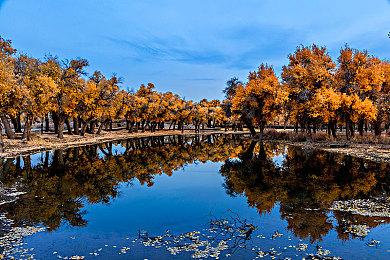 乔治·马丁盛赞《艾尔登法环》：这游戏实在太棒了